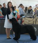 Превью фото № 98137