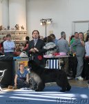 Превью фото № 98146