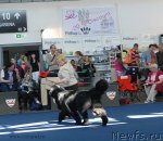 Превью фото № 98160