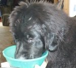 Превью фото № 98358