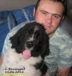 Превью фото № 98417