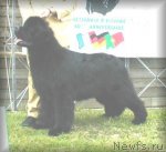 Превью фото № 98611