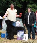 Превью фото № 98687