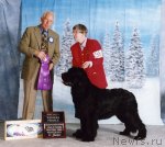 Превью фото № 98709