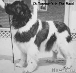 Превью фото № 98711