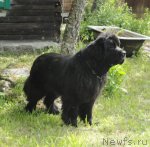 Превью фото № 98757