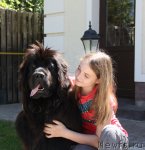 Превью фото № 98971