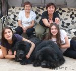 Превью фото № 98991