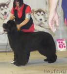 Превью фото № 99441