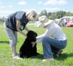 Превью фото № 99634