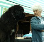 Превью фото № 99797